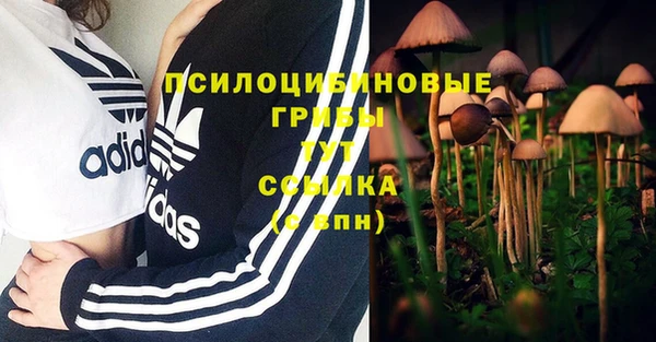 Альфа ПВП Беломорск