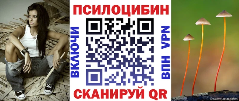 купить наркотик omg ТОР Галлюциногенные грибы GOLDEN TEACHER Валуйки