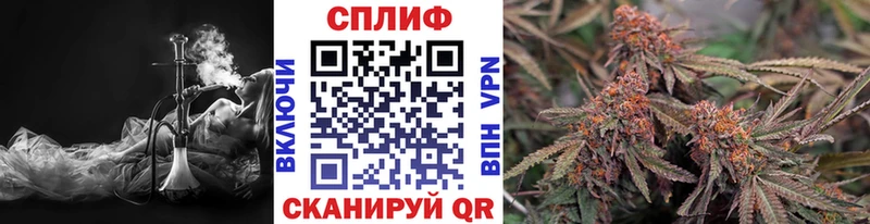 МАРИХУАНА планчик  Валуйки 